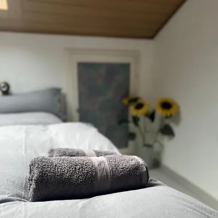 Parkplatz, Einzelbetten, 2 X 55 Zoll Tvs, Balkon, Glasfaser Wi-fi 1000 Mbit, Homeoffice Rodenbach